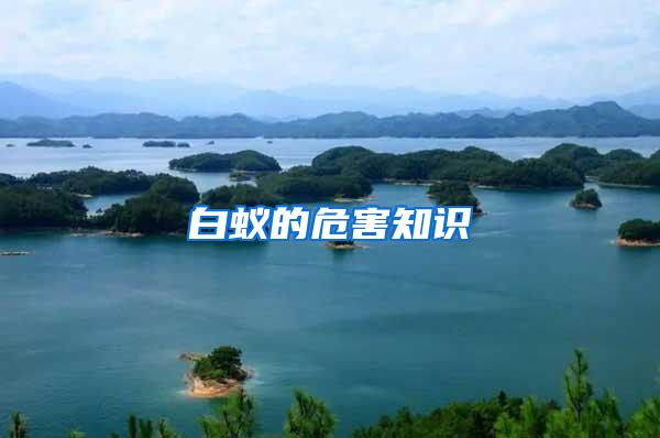 白蟻的危害知識(shí)