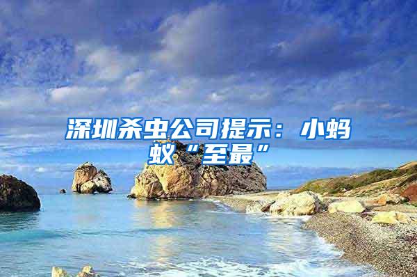 深圳殺蟲公司提示:小螞蟻“至最”