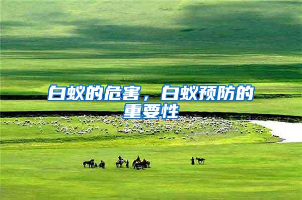 白蟻的危害，白蟻預防的重要性