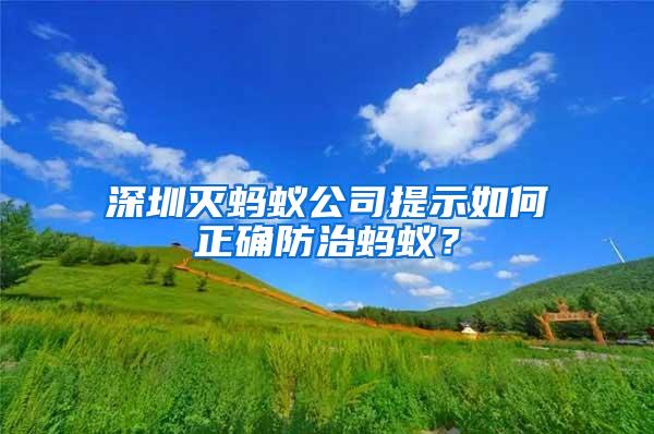 深圳滅螞蟻公司提示如何正確防治螞蟻？