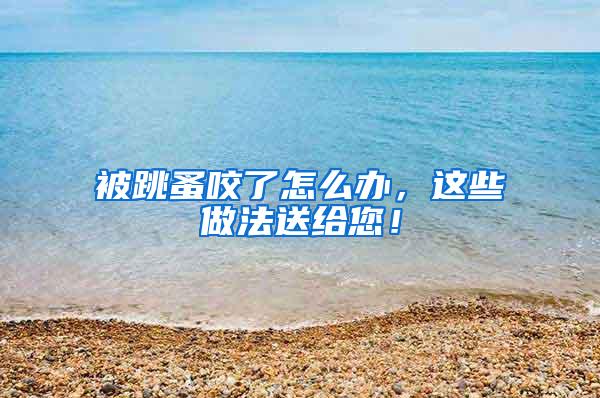 被跳蚤咬了怎么辦，這些做法送給您！