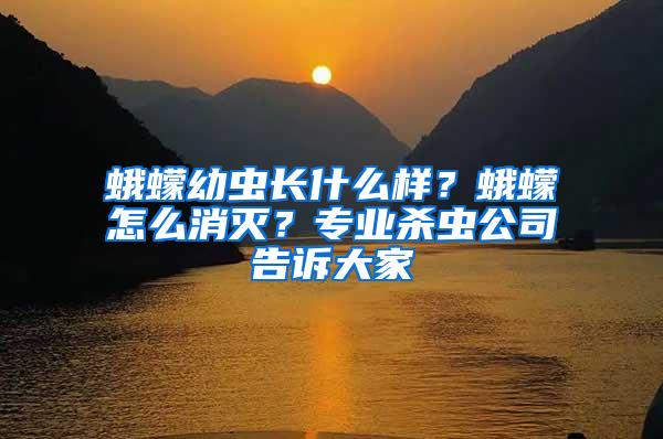 蛾蠓幼蟲長什么樣？蛾蠓怎么消滅？專業(yè)殺蟲公司告訴大家