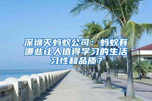 深圳滅螞蟻公司:螞蟻有哪些讓人值得學習的生活習性和品質?