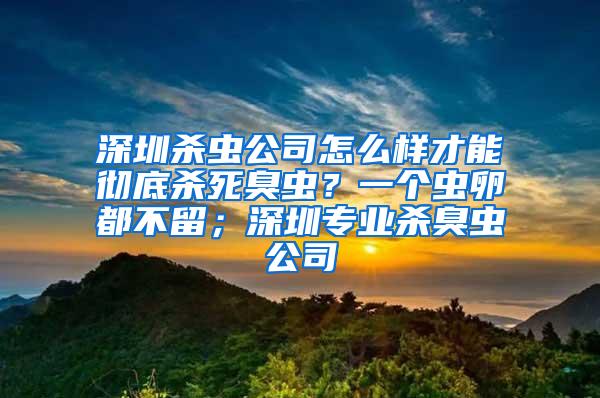 深圳殺蟲公司怎么樣才能徹底殺死臭蟲？一個蟲卵都不留；深圳專業殺臭蟲公司