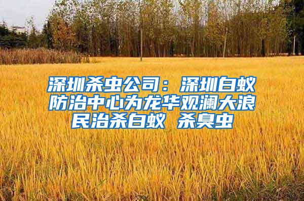深圳殺蟲公司：深圳白蟻防治中心為龍華觀瀾大浪民治殺白蟻 殺臭蟲