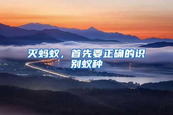 滅螞蟻，首先要正確的識別蟻種