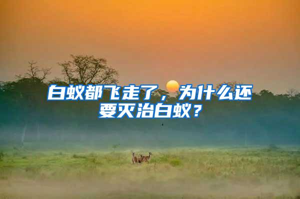 白蟻都飛走了，為什么還要滅治白蟻？