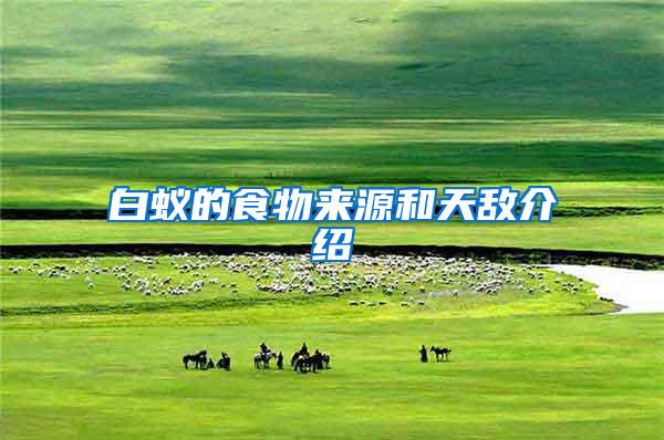 白蟻的食物來源和天敵介紹