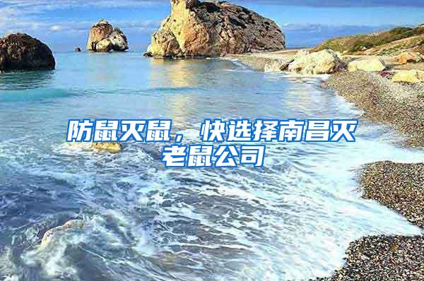 防鼠滅鼠，快選擇南昌滅老鼠公司