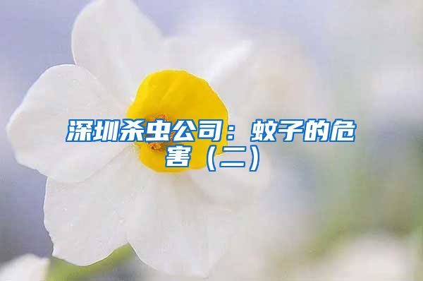 深圳殺蟲公司：蚊子的危害（二）