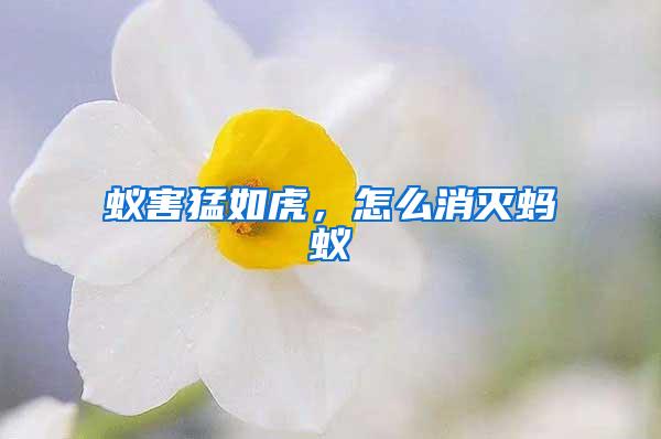 蟻害猛如虎，怎么消滅螞蟻