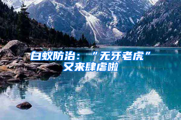 白蟻防治：“無牙老虎”又來肆虐啦