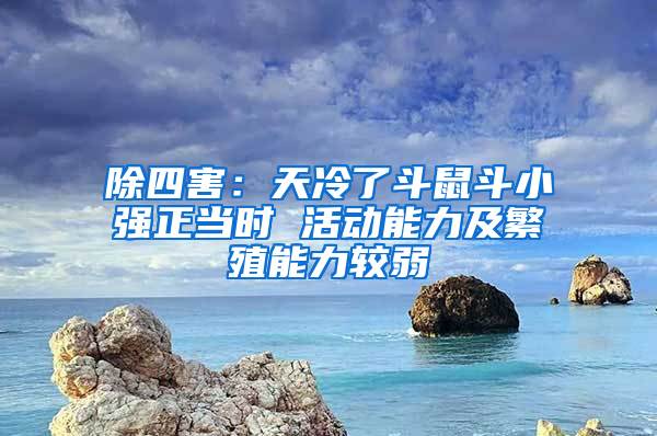 除四害：天冷了斗鼠斗小強(qiáng)正當(dāng)時(shí) 活動(dòng)能力及繁殖能力較弱