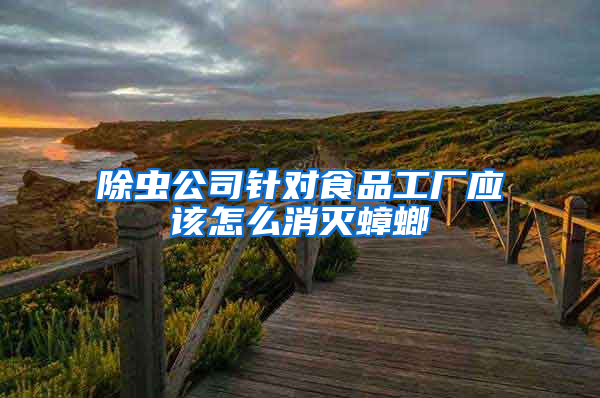 除蟲公司針對食品工廠應該怎么消滅蟑螂