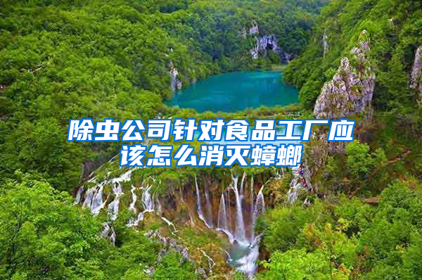 除蟲公司針對(duì)食品工廠應(yīng)該怎么消滅蟑螂