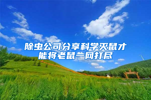 除蟲公司分享科學滅鼠才能將老鼠一網打盡