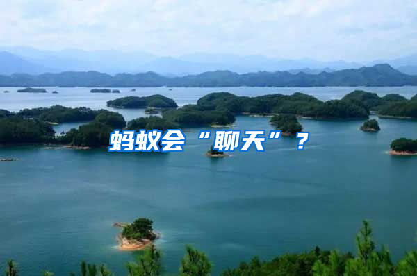 螞蟻會“聊天”？