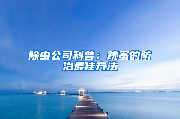 除蟲公司科普：跳蚤的防治最佳方法
