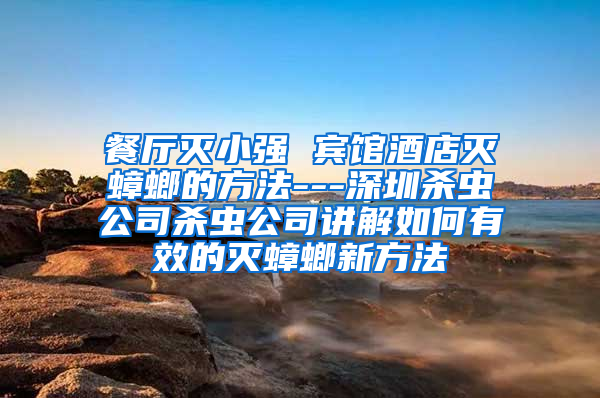 餐廳滅小強(qiáng) 賓館酒店滅蟑螂的方法---深圳殺蟲公司殺蟲公司講解如何有效的滅蟑螂新方法