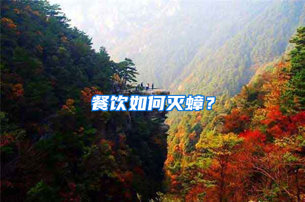 餐飲如何滅蟑？