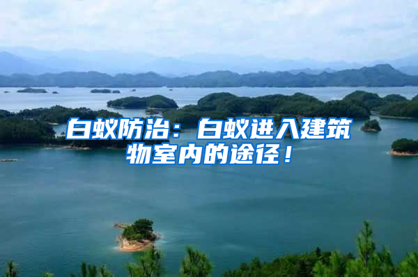 白蟻防治：白蟻進入建筑物室內的途徑！