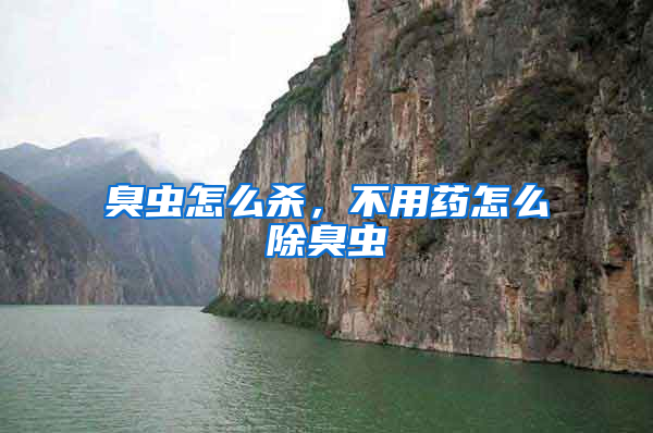 臭蟲怎么殺，不用藥怎么除臭蟲