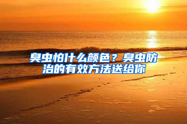 臭蟲怕什么顏色？臭蟲防治的有效方法送給你