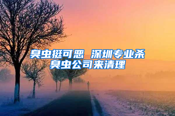 臭蟲挺可惡 深圳專業殺臭蟲公司來清理
