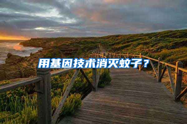 用基因技術消滅蚊子？